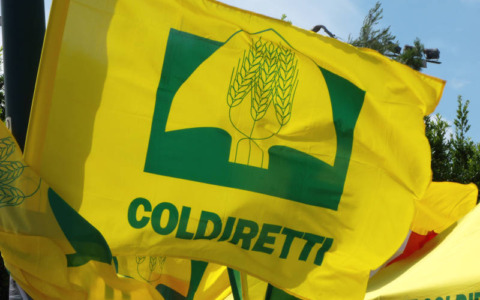 Coldiretti Sondrio celebra l’approvazione della legge Caselli