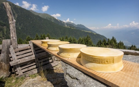 Connessioni veloci per alpeggi e valli laterali: una sfida per l’agricoltura