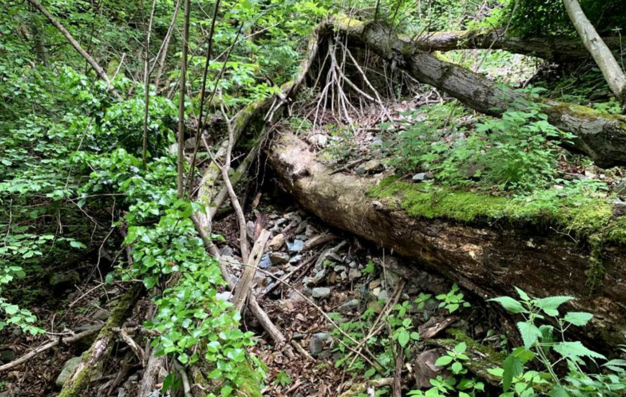 Progetti di messa in sicurezza idrogeologica nelle frazioni di Sondrio