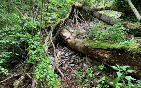 Progetti di messa in sicurezza idrogeologica nelle frazioni di Sondrio