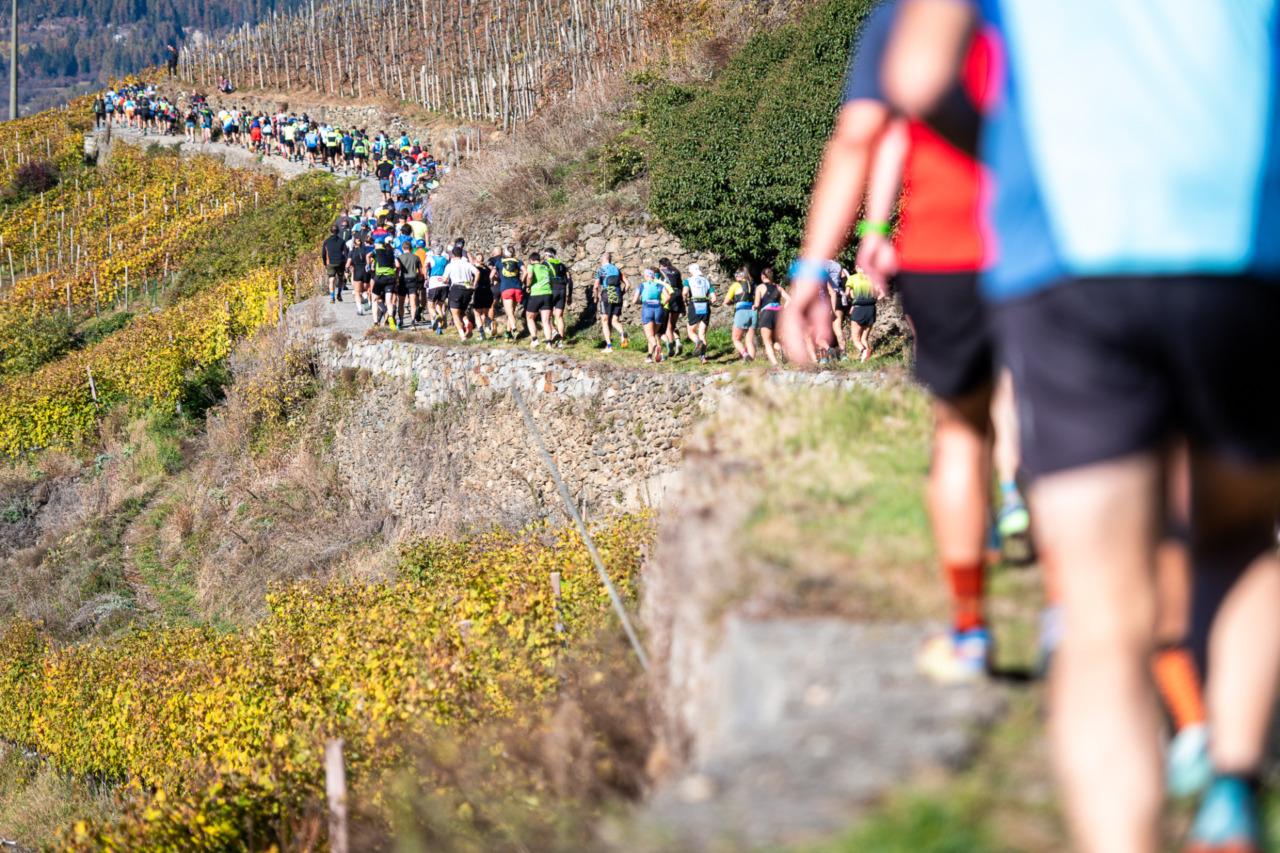 Valtellina Wine Trail: iscrizioni al via il Primo Maggio con 4000 pettorali disponibili