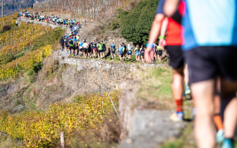 Valtellina Wine Trail: iscrizioni al via il Primo Maggio con 4000 pettorali disponibili