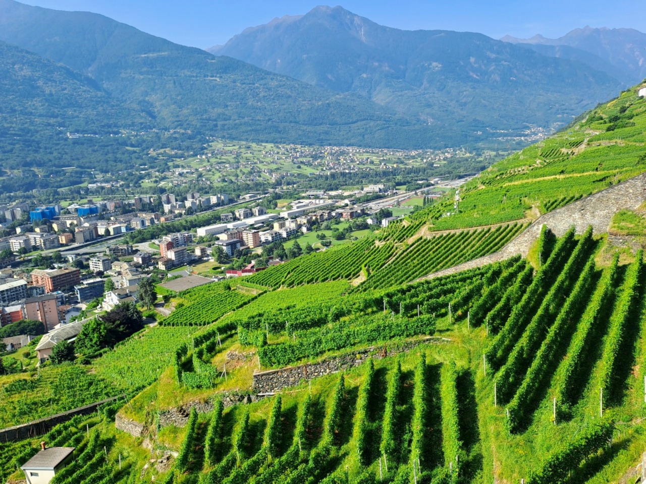 Generazione Terra: un’opportunità per i giovani agricoltori di montagna