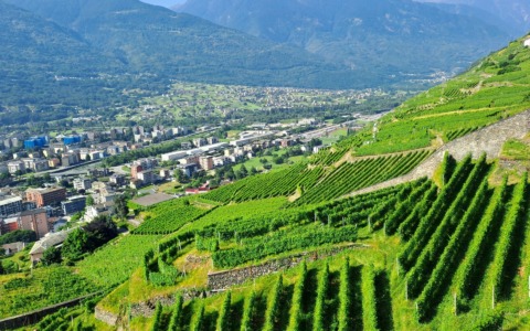 Generazione Terra: un’opportunità per i giovani agricoltori di montagna