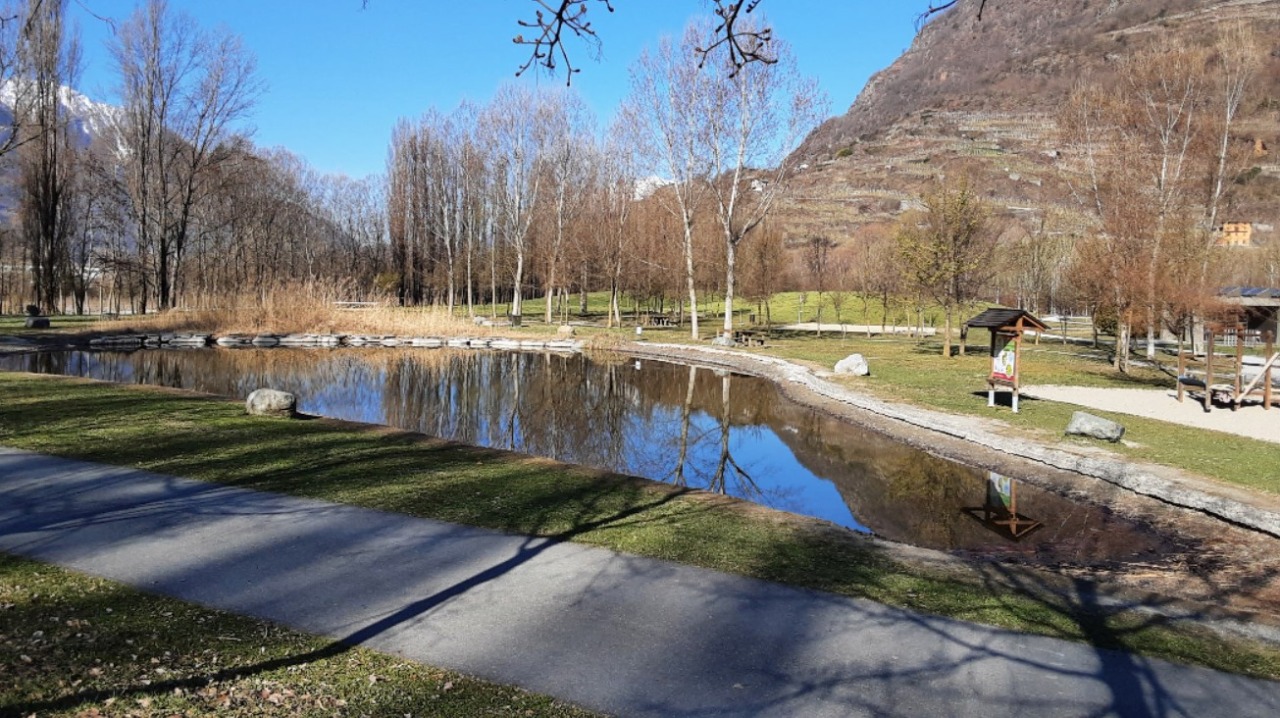 Riapre il bar del Parco Bartesaghi a Sondrio