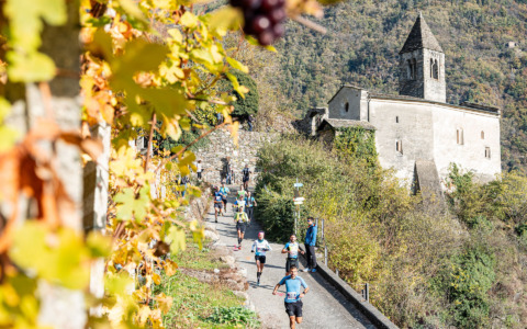 Valtellina Wine Trail 2026, pettorali esauriti in meno di cinque giorni
