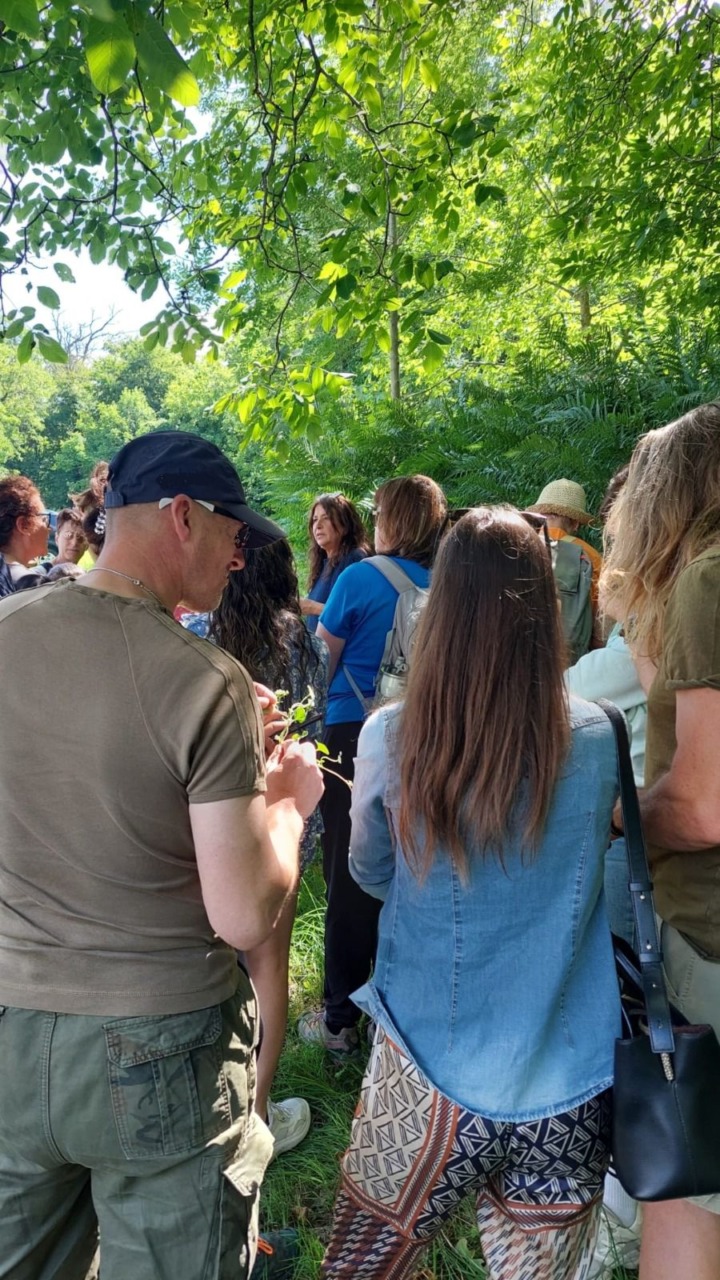 Herbacea Festival delle erbe spontanee, domenica 7 giugno a Teglio