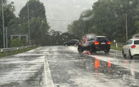 Un forte temporale sradica una pianta sulla tangenziale di Sondrio