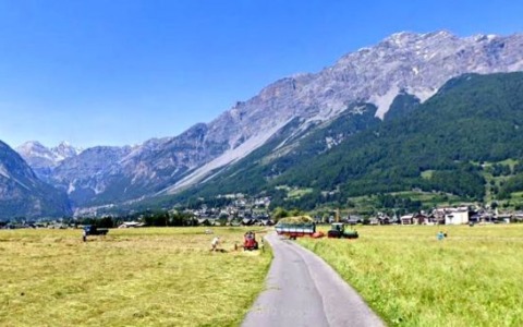 Rigettato il ricorso per l’Alute dal Tar