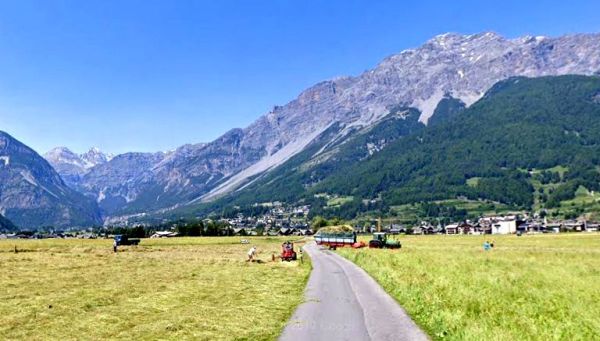 Rigettato il ricorso per l’Alute dal Tar