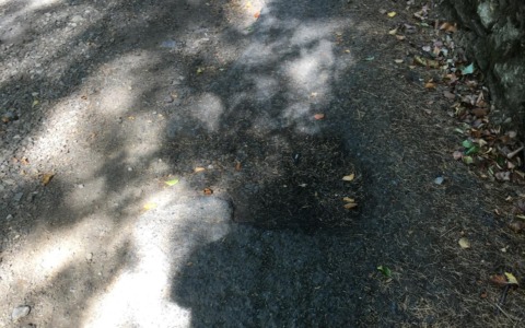 Strade di montagna in condizioni critiche nel territorio di Tirano