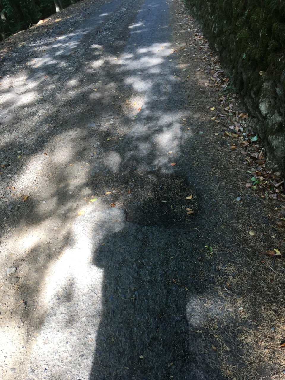 Strade di montagna in condizioni critiche nel territorio di Tirano