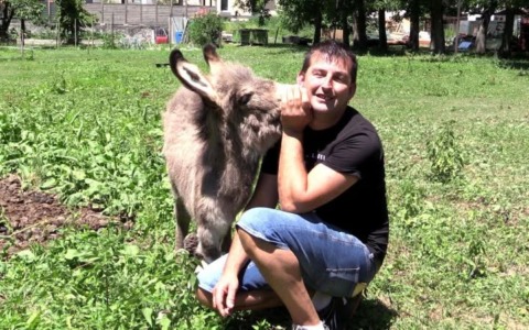 Uniti per salvare l’asinello Forrest