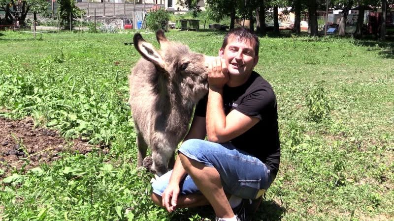 Uniti per salvare l’asinello Forrest
